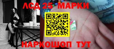 гидра Будённовск