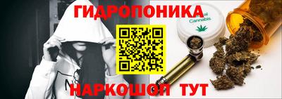 гидра Будённовск
