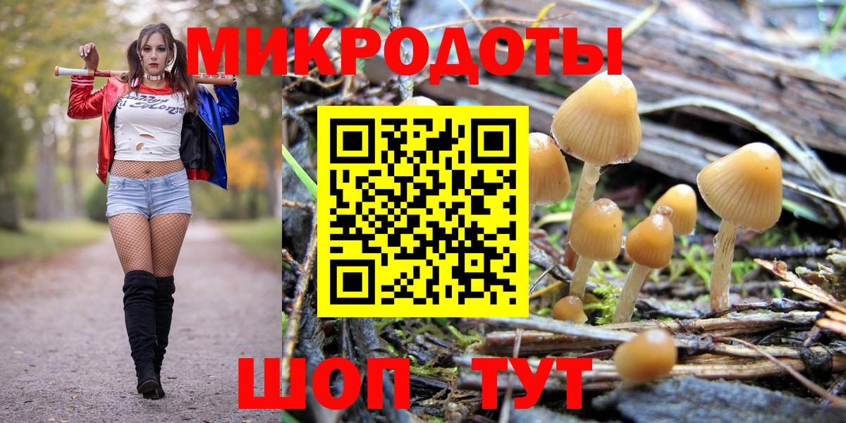 Псилоцибиновые грибы мицелий Сертолово
