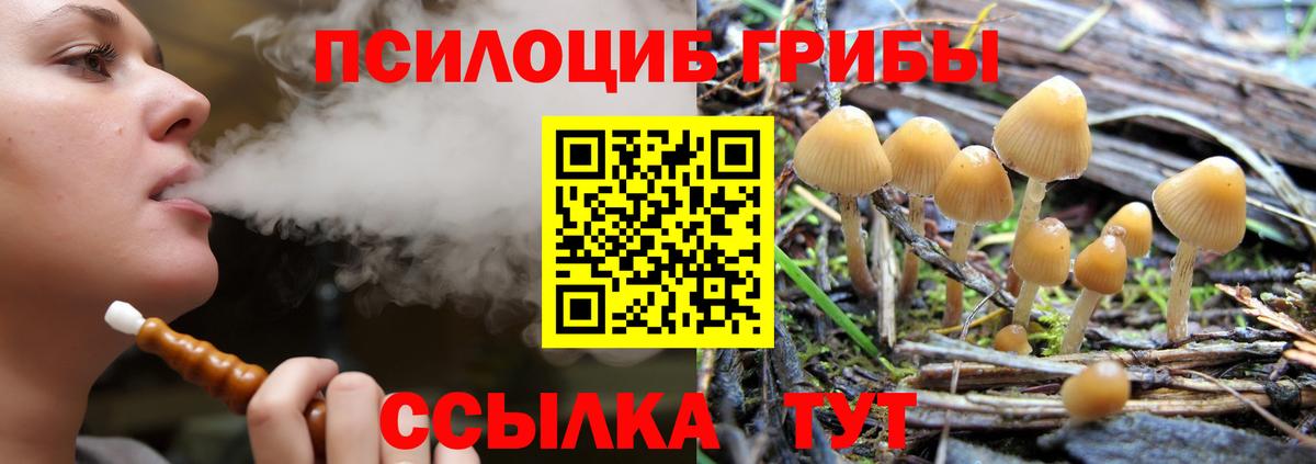 Псилоцибиновые грибы Magic Shrooms  Псилоцибиновые грибы мухоморы  Вход с VPN  Сертолово 